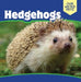 Hedgehogs by Melissa Raé Shofner