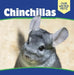 Chinchillas by Grace Houser