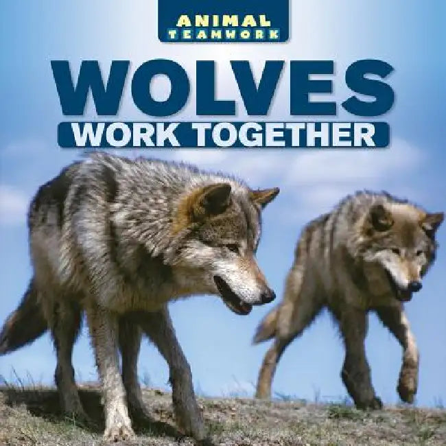 Wolves Work Together by Mike Scout