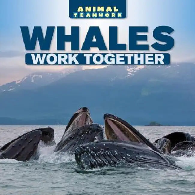 Whales Work Together by Clara Coleman