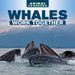 Whales Work Together by Clara Coleman