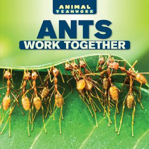 Ants Work Together by Nora Ellison