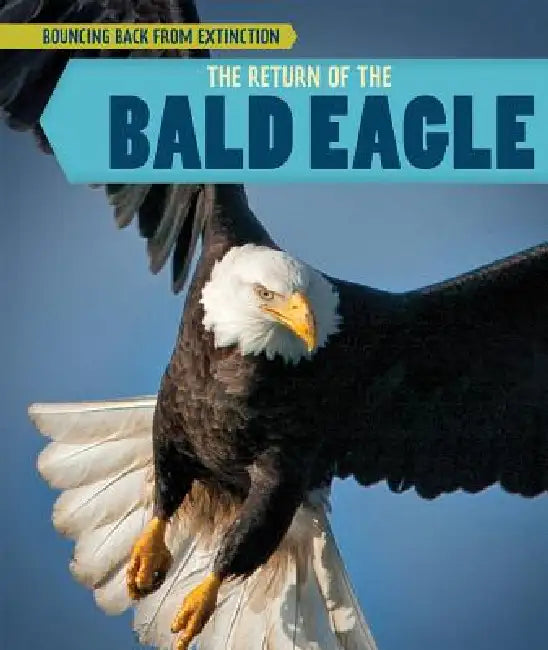 The Return of the Bald Eagle by Heather Moore Niver