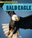The Return of the Bald Eagle by Heather Moore Niver