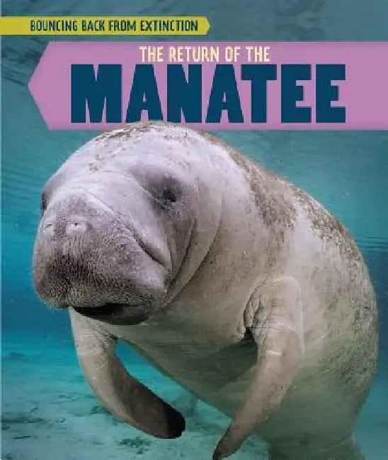 The Return of the Manatee by Tanya Dellaccio