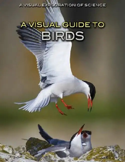 A Visual Guide to Birds by Editorial Staff