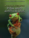 A Visual Guide to Fish and Amphibians by Editorial Staff