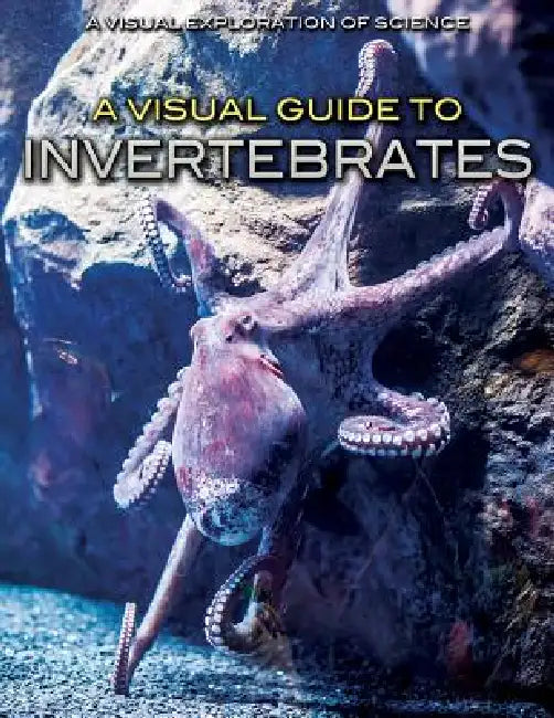 A Visual Guide to Invertebrates by Editorial Staff