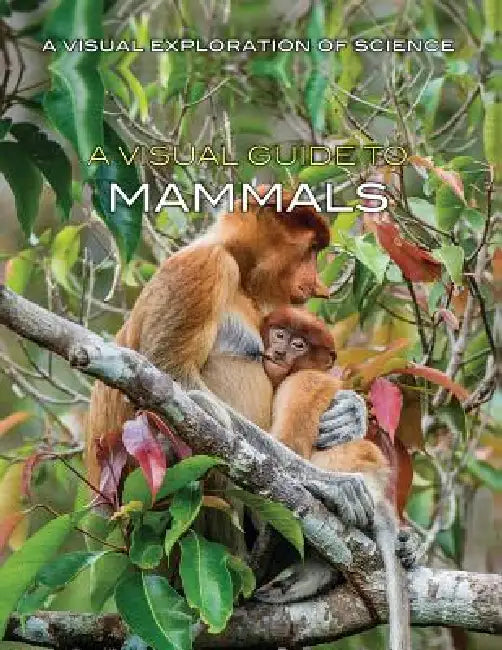 A Visual Guide to Mammals by Editorial Staff