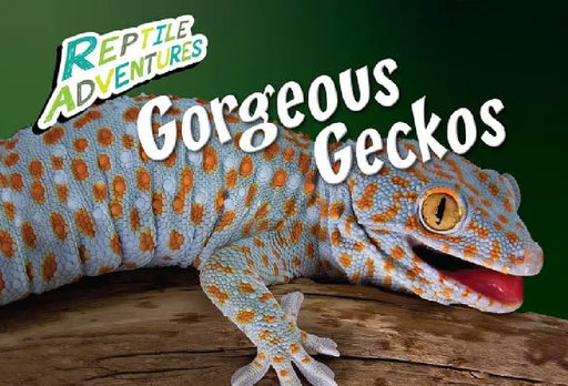 Gorgeous Geckos by Rebecca Johnson