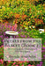 Petals from the Basket (Book 2): Devotional Thoughts for Women by Brenda Strohbehn