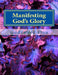 Manifesting God's Glory: Showing Forth the Glory of God by Godsword Godswill Onu