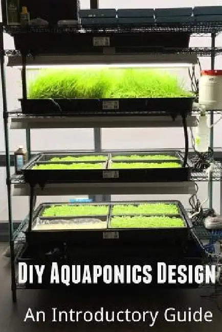 Diy Aquaponics Design: An Introductory Guide by Arash Amini
