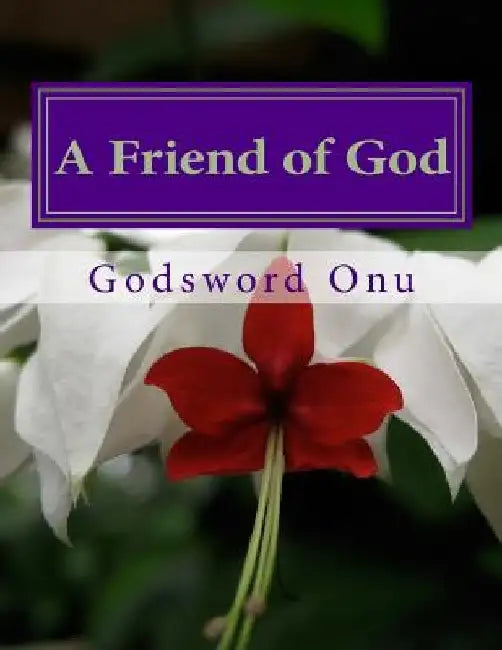 A Friend of God: The Father's Heartbeat by Godsword Godswill Onu