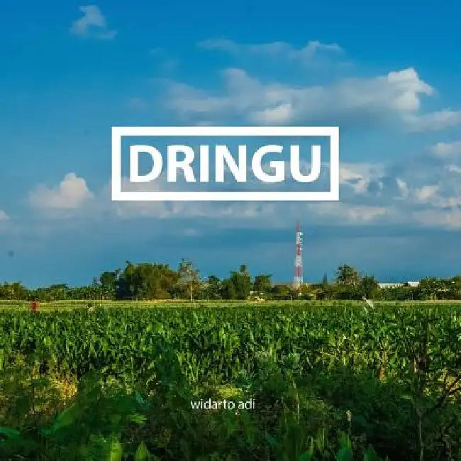 Dringu, an homage by Broy Rb Hendrarto