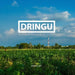 Dringu, an homage by Broy Rb Hendrarto