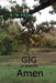 Gig Presents Amen: Amen by M. W. Kilgore