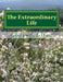The Extraordinary Life: The Life Which Is Beyond the Ordinary by Godsword Godswill Onu