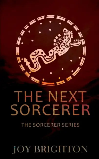 The Next Sorcerer by Joy Brighton