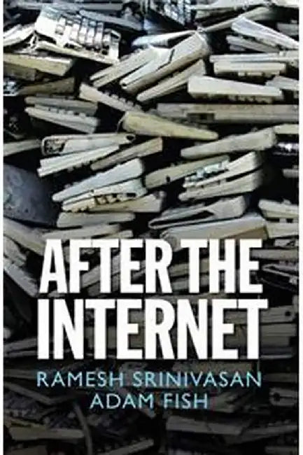 After the Internet by Ramesh Srinivasan, Adam Fish