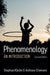 Phenomenology: An Introduction by Stephan Käufer
