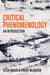 Critical Phenomenology: An Introduction by Elisa Magri