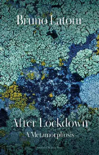 After Lockdown: A Metamorphosis by Julie Rose