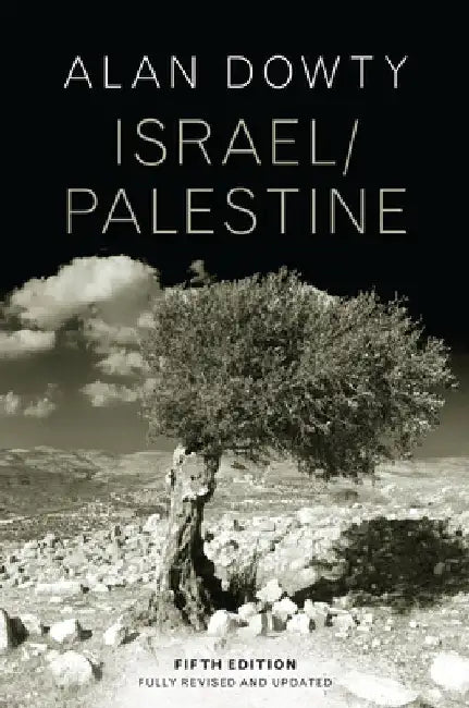 Israel / Palestine by Alan Dowty