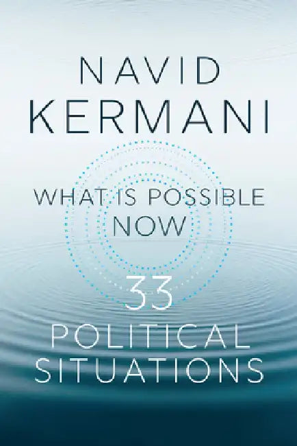 What Is Possible Now: 33 Political Situations by Navid Kermani