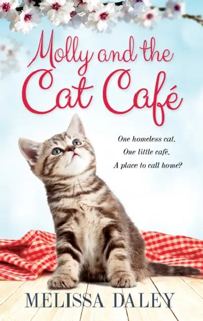 Molly and the Cat Cafe by Heiddwen Tomos