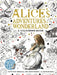 The Macmillan Alice Colouring Book by Lewis Carroll