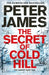 The Secret of Cold Hill by Peter James