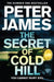 The Secret of Cold Hill by Peter James