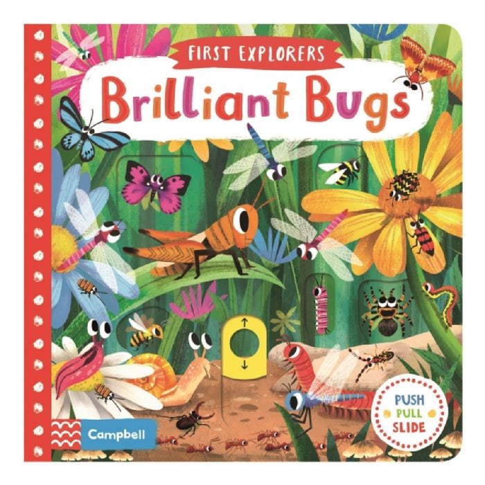 Brilliant Bugs by Campbell Books
