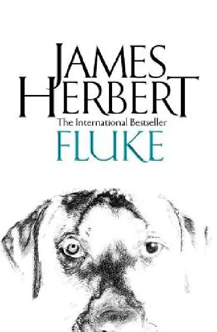 Fluke by James Herbert