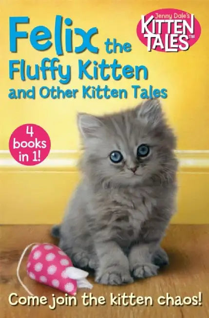 Felix the Fluffy Kitten and Other Kitten Tales by Jenny Dale