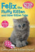 Felix the Fluffy Kitten and Other Kitten Tales by Jenny Dale