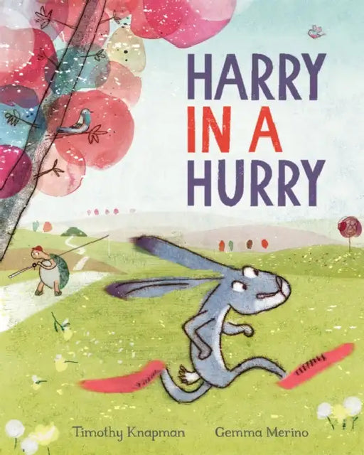 Harry In A Hurry by Timothy Knapman