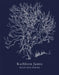 Selected Poems by Kathleen Jamie