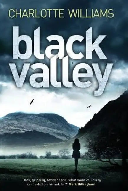Black Valley by Charlotte Williams