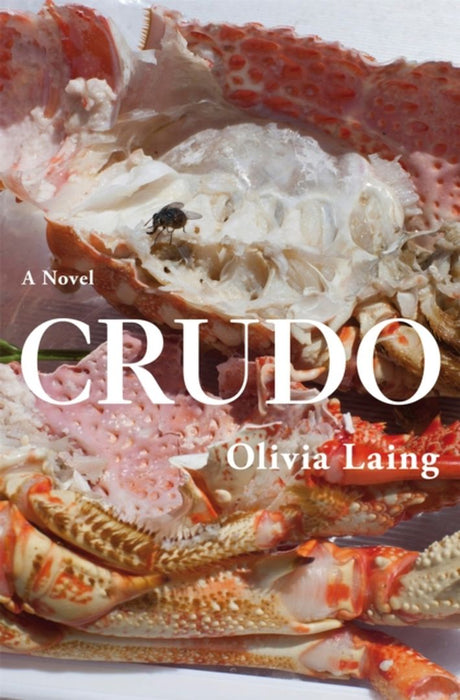 Crudo by Laing, Olivia