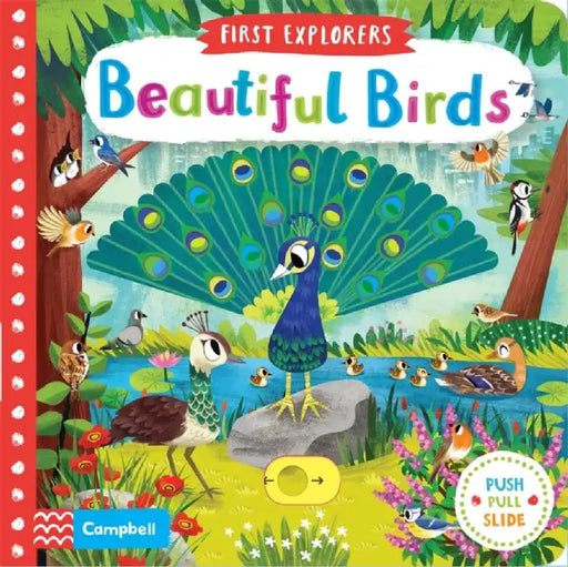 Beautiful Birds by Campbell Books