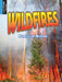 Wildfires by Pamela McDowell