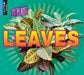 Leaves by Gemma McMullen, John Willis