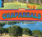 Chaparrals by Samantha Nugent