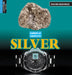 Silver by Mari Rich