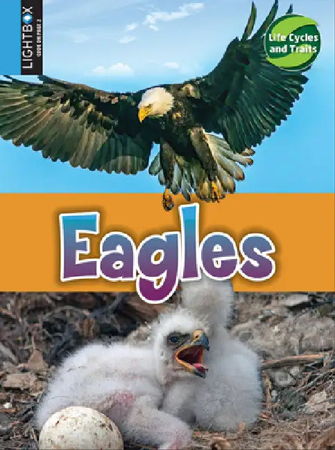 Eagles by Kimberly M. Hutmacher, John Willis