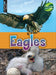 Eagles by Kimberly M. Hutmacher, John Willis