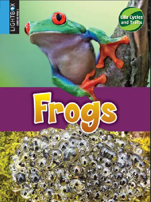 Frogs by John Willis