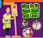 Why Do We Need Rules and Laws? by Jessica Pegis